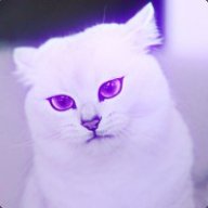 Pawunia