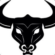 srtbull