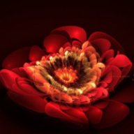 CrimsonLotus19