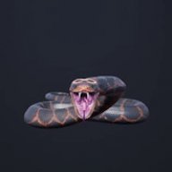 Kingviper74