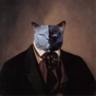 deeCaT