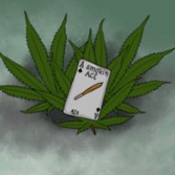 smokinAce420