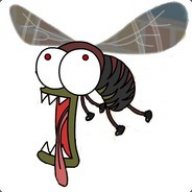 FLY