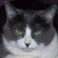 Maddy