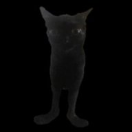 Karrot
