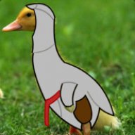 conor ducks