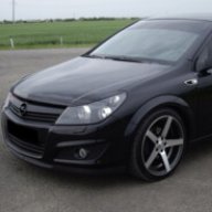 solovei8