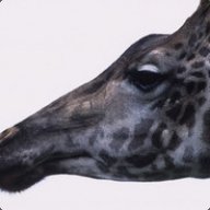 GiraffeKiller