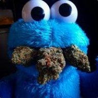 Digithaiz