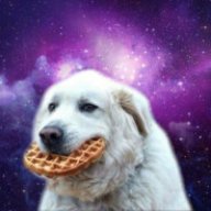 SamBones