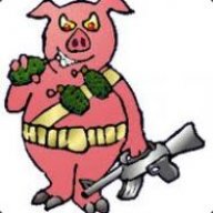 ThisPig