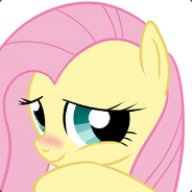 Flutterssssss