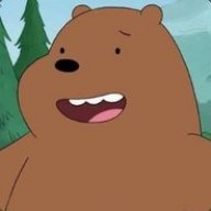 orangebear