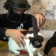 bogdaREDAKTOR
