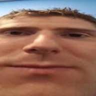 BOT Ants