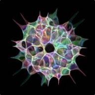 3DSHROOM
