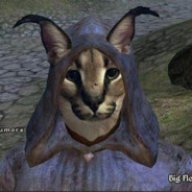 Aieykins