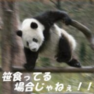 pandasensi