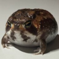 .Frog.