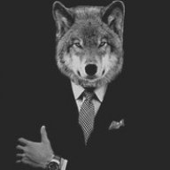wolfinsuit