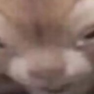 NoxTGM