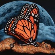 FlutterB
