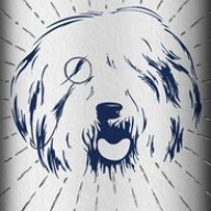 HairoftheDog