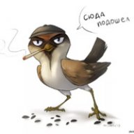 aleAndrale