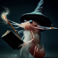 TheWiseShrimp