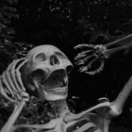 dssasd