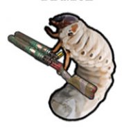 strongost1