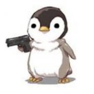D11vision