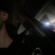 Alexvvert