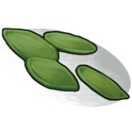 administrator