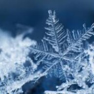 Snowy0123