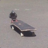 Skateboardist