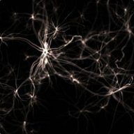 Synapse