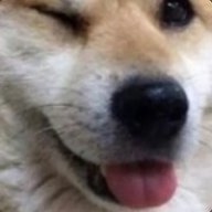 Sashuage