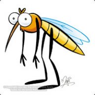 mosquito
