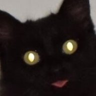 Meow