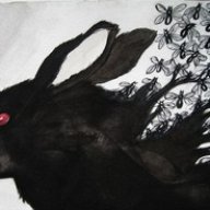 BlackRabbitAce