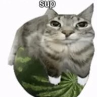 womdermelon