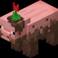 DrPig01