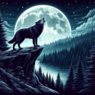 night wolf