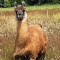 LLamaredpajama7