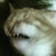 Olafreese