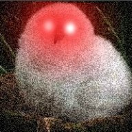 zeebomba
