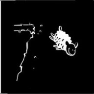 Fallingsheep