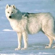 Walf