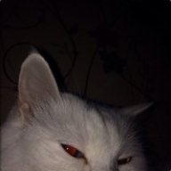 N1PLZ